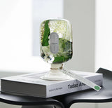 Hedera(Ivy) Preserved Botanical Glass Dome Decor Floating Plant Art Green Plant