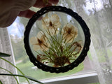 Lasting Impressions Vtg Pressed Dried Flowers Sun Catcher Dried Flower