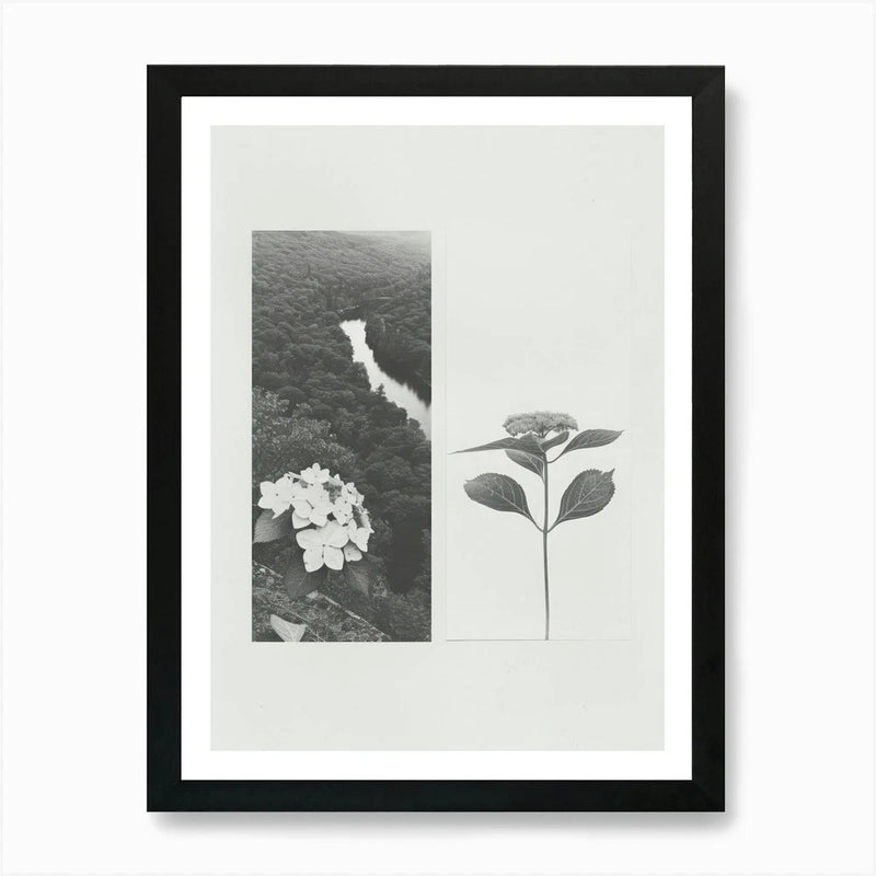 Hydrangea Flower Photo Collage 4 Ar Framed Wall Art Poster Canvas Print Picture Hydrangea
