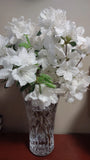 5+2free White Bloom CRAPE MYRTLE rare flower fresh unrooted cuttings Flowering Plants