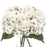 Kimura's Cabin 6pcs Fake White Flowers Artificial Silk Hydrangea Flowers Bouq... Hydrangea