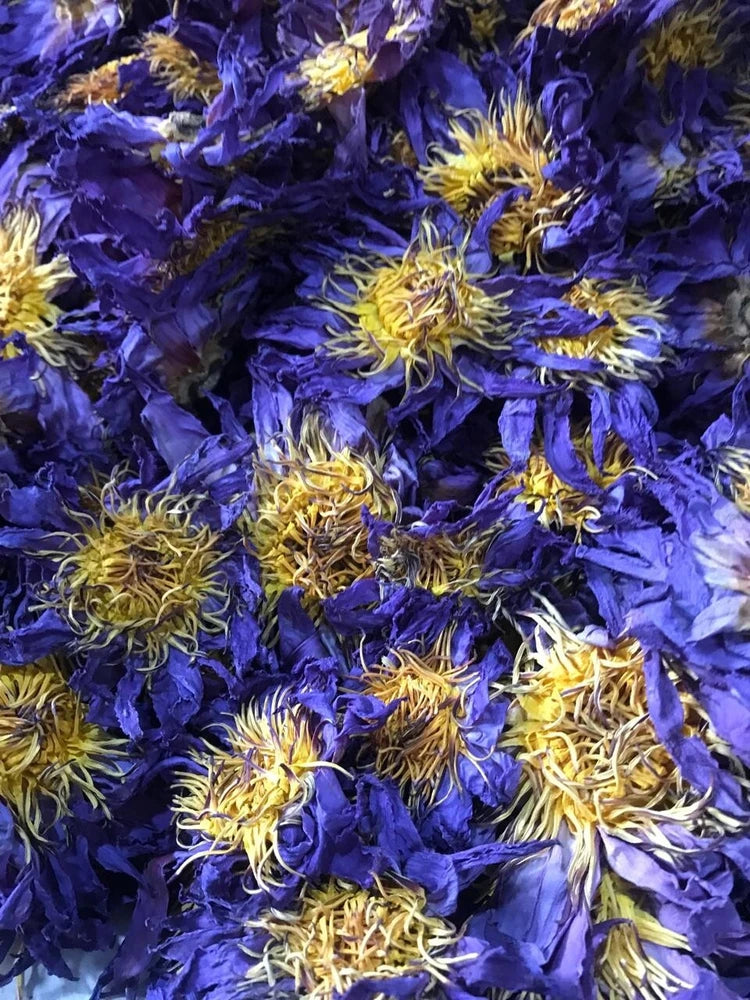 Dried blue lotus flower tea, yellow stamens with deep blue petals