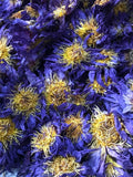 Blue Lotus 400g |Nymphaea caerulea| Dried Organic Flower Tea Egyptian Lotus Lily
