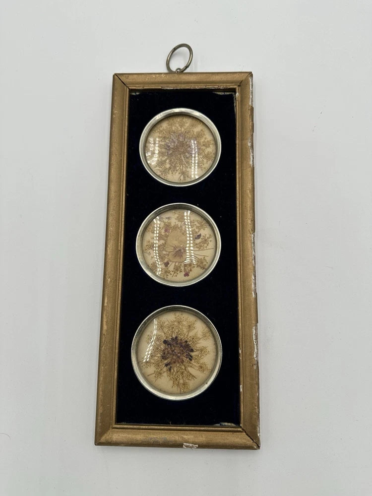 Vintage gold frame wall hanging with three round pressed dried flowers and hanging loop