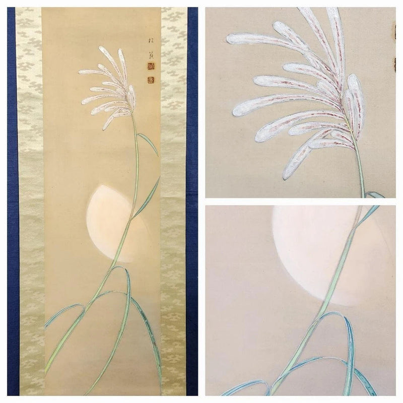 Moonlight pampas grass illustrationYokouchi Matsurai 2680 Moon-viewing pampas Pampas Grass