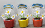 3 Solar DANCING Triple DAISIES Flower SUN or LIGHT Powered Daisy BOBBLE HEAD TOY Daisies
