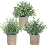 3 Pack Small Fake Plants, Artificial Eucalyptus, Boston Fern & Boxwood Leaves... Green Plant