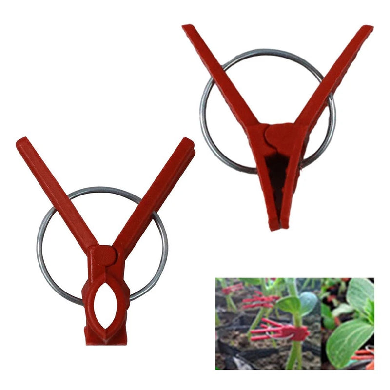 Red plastic plant support stakes with circular metal hoops, garden trellis clip