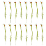 16 Pcs Small Pampas Grass Decor Faux Fake Plant for Decoration Greenery Pampas Grass