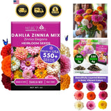 Zinnia Seeds Flower Seeds for Garden Outdoor Planting Easy Grow Multicolor Garden Plants