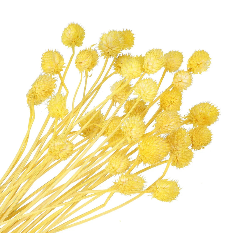 30 Pcs 16 Inch Dried Flowers for Vase Mini Pine Ball Flowers Yellow(Stem) Dried Flower