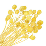 30 Pcs 16 Inch Dried Flowers for Vase Mini Pine Ball Flowers Yellow(Stem) Dried Flower
