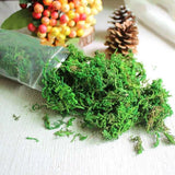 Garden 20/50/100g Moss Green Artificial Plants Home For Fake  Simulation Lichen Green Plant