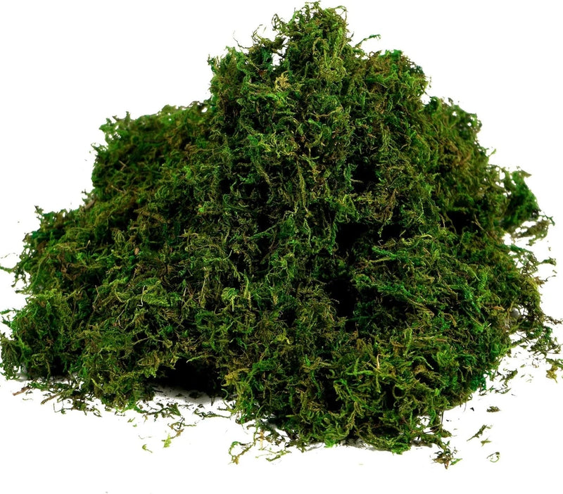 Artificial Moss Fake Green Grass Decor 3.5oz Green Plant