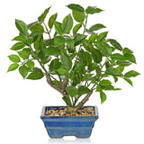 Fake Plants Small Artificial Plants Indoor 15.3" Fake Potted Plants Realistic... Green Plant