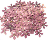 Natural Pressed Purple Flowers | Dried Real Flowers for Resin Crafts | Free Ship Dried Flower