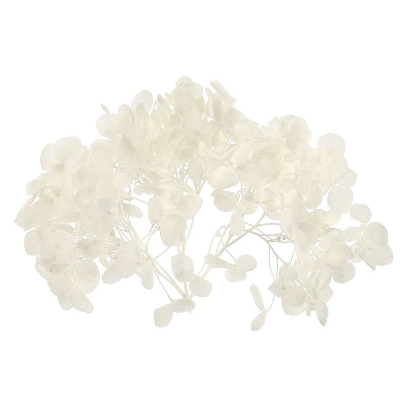10g Mini Dried Hydrangea Flower Natural Pressed Flower Real Hydrangeas White Dried Flower