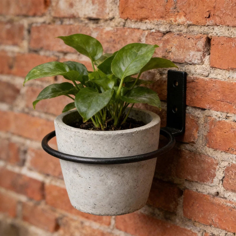 4Pcs Flower Pot Holder Support Metal Planter Hooks for Flowerbed Lawn Garden Garden Plants