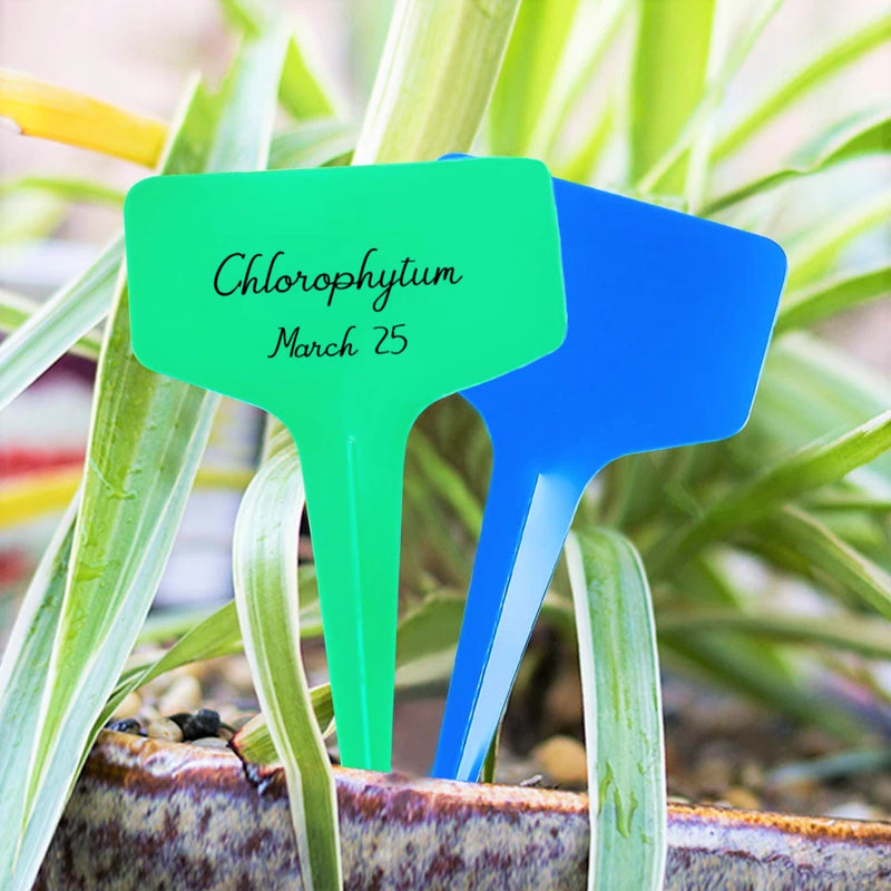 Green T-Shaped Plant Labels |Garden Row Marker Seed Stake Food Tag Reusable 2025 Garden Plants