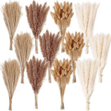 300 PCS Dried Flower Bouquet Ð Pampas Grass, Floral Decor 300PCS, Brown,white Pampas Grass