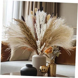 Pampas Grass Dried Flowers for Vase, Boho Home Decor, Wedding Mixed Brown Pampas Grass