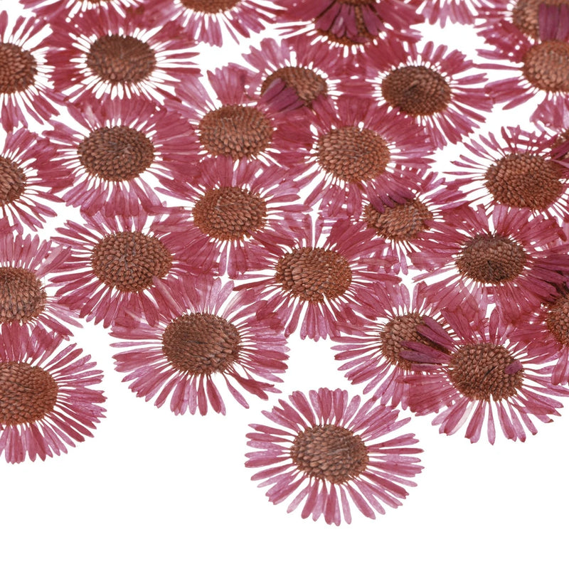 Rose pink pressed dried daisy flowers with brown centers, mixed set for resin
