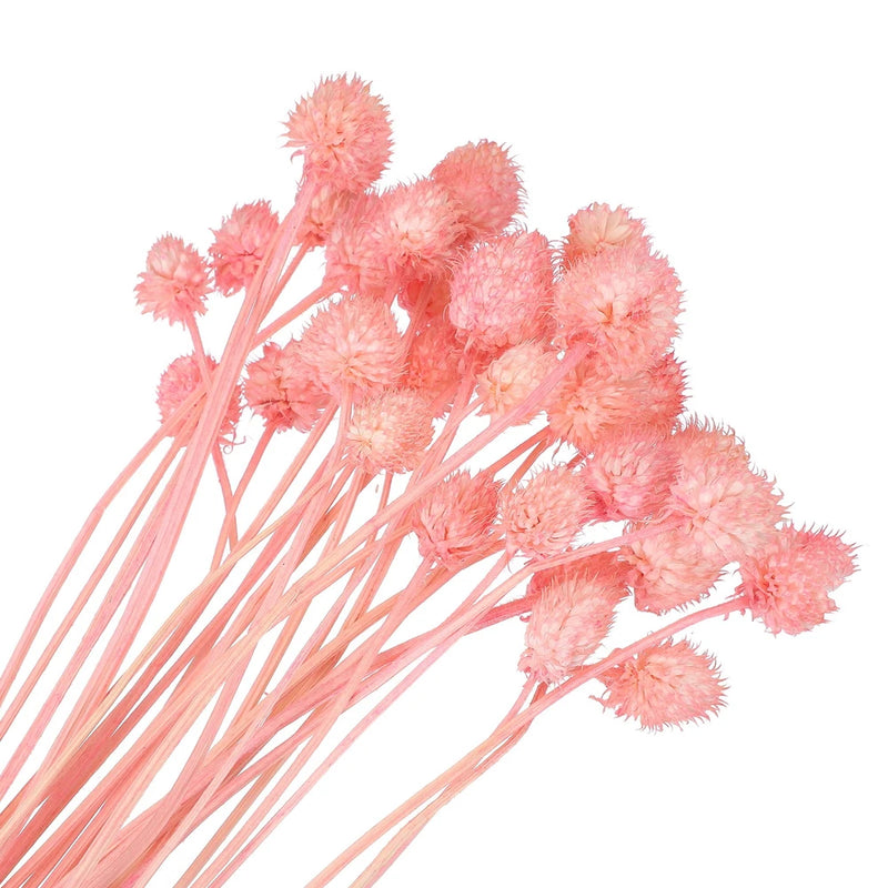 30 Pcs 16 Inch Dried Flowers for Vase Mini Pine Ball Flowers Pink(Stem) Dried Flower
