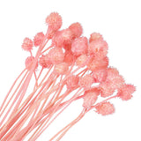 30 Pcs 16 Inch Dried Flowers for Vase Mini Pine Ball Flowers Pink(Stem) Dried Flower