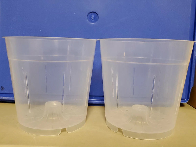 Pair of clear breathable orchid pots, vented sides and reservoir base