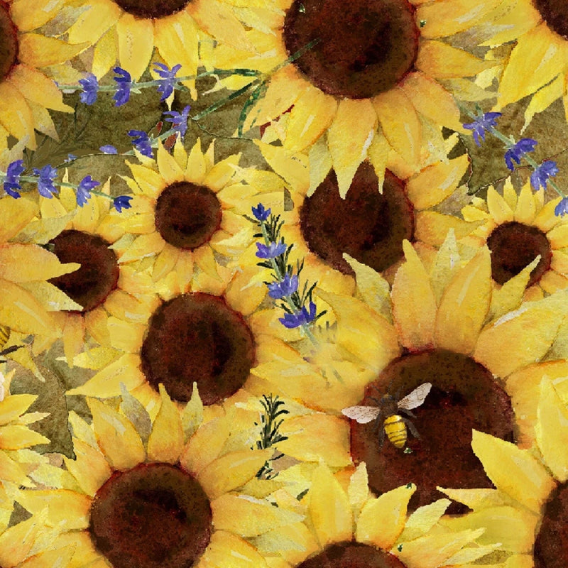 3 Wishes Locally Grown by Beth Albert 20195 Yellow Sunflower Field   Cotton Sunflower