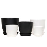 10 Piece Plastic Plant Pots with Pallet for Indoor Gardening and Home Decor Garden Plants