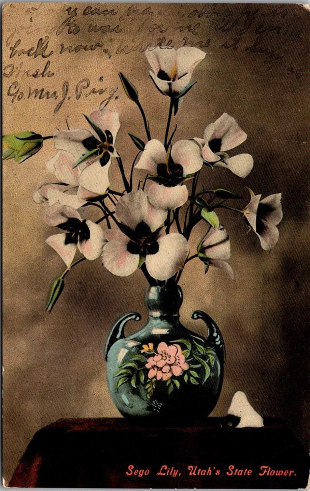 Vintage postcard with white lily flowers in a vase and green leaves