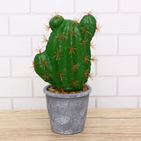 Faux Tropical Plants Potted Indoor Artificial Cactus Decor for Home Green Plant