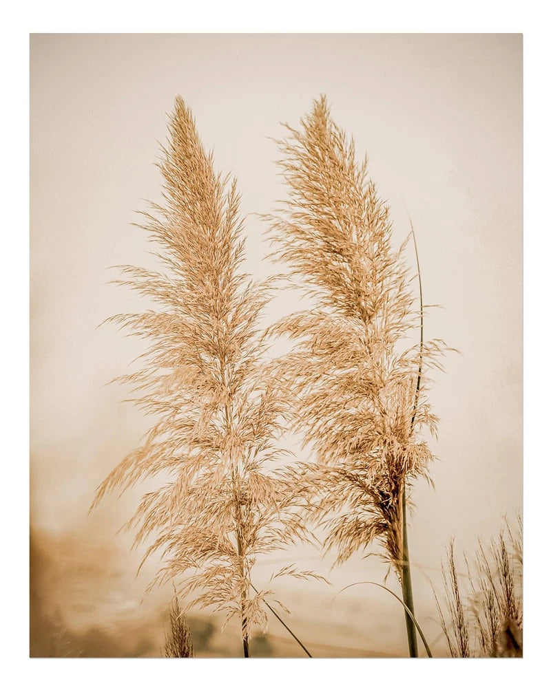 Elegant Nature Wall Art Poster - Pampas Grass Decor Premium Quality Pampas Grass
