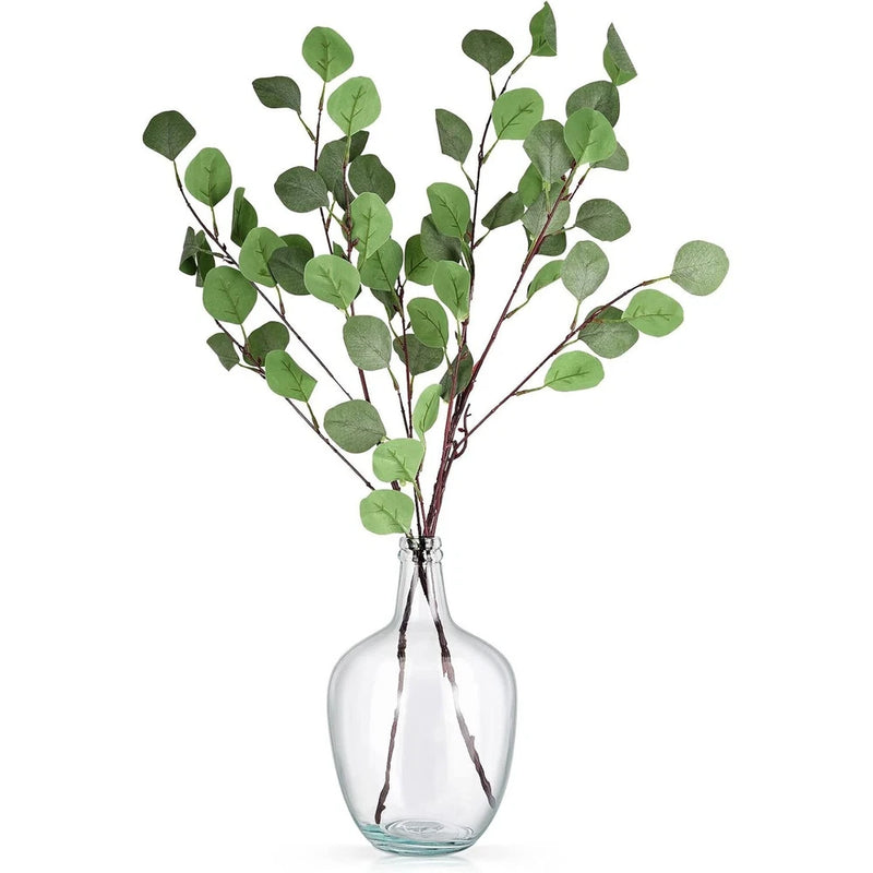 Clear Glass Vase 10.2'' H x 6.3'' W, Decorative Jug for Pampas Grass & Flowers Pampas Grass