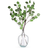 Clear Glass Vase 10.2'' H x 6.3'' W, Decorative Jug for Pampas Grass & Flowers Pampas Grass