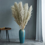 110 - 120Cm Large Dried Pampas Grass Plume,Fluffy,Wholesale Boho Home Decor,Natu Pampas Grass