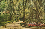 Beautiful Hydrangeas framed with Spanish Moss, "Made in Winter Haven, Florida" Hydrangea