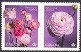 2023 Canada SC# 3373- 3374a. Flowers - Ranunculus - pair from booklets - M-NH Ranunculus