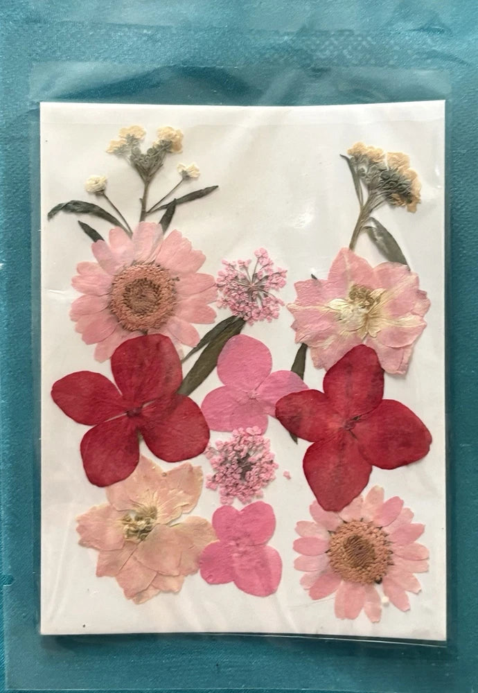 Dried Flowers Set 3 Packs Crafts Scrapbooking Projects Embellishments 10726c Dried Flower