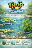 Crystal Clear Pond Plant Pack | Water Hyacinth, Frogbit & Hornwort | Live Pond P Flowering Plants