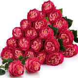 Giegxin 20 Pcs Real to Touch Peonies Austin Roses Artificial Flowers, Faux Lo... Peony