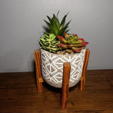 Decorative Artificial succulents with stand, concrete pot __ Green Plant