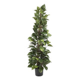 Nearly Natural 63" Pothos Climbing Silk Plant in Green Green Plant