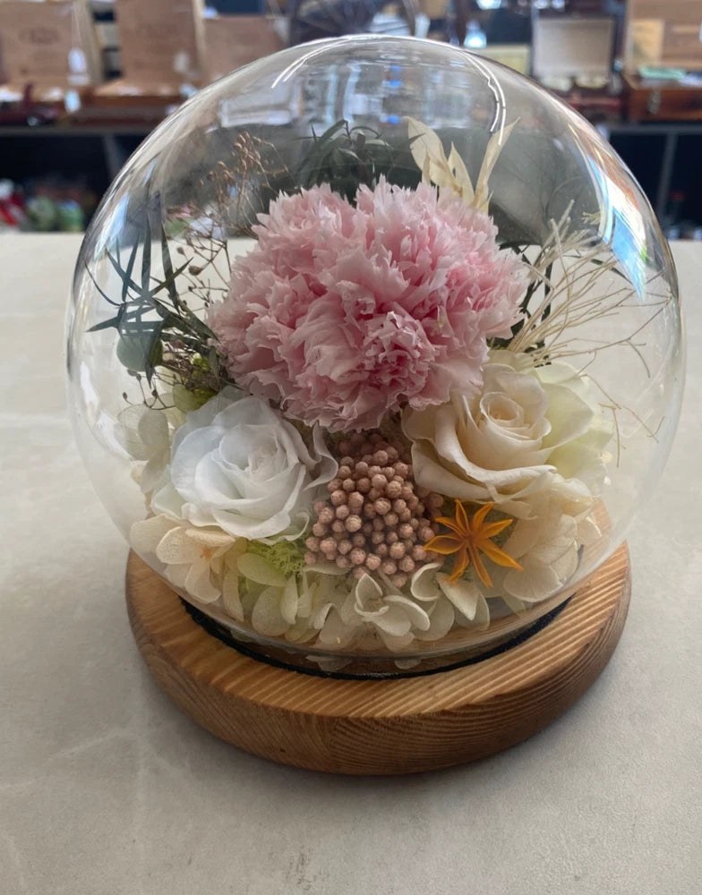 Preserved Flowers in Glass Dome with LED Light Long-Lasting Roses Gift Carnation