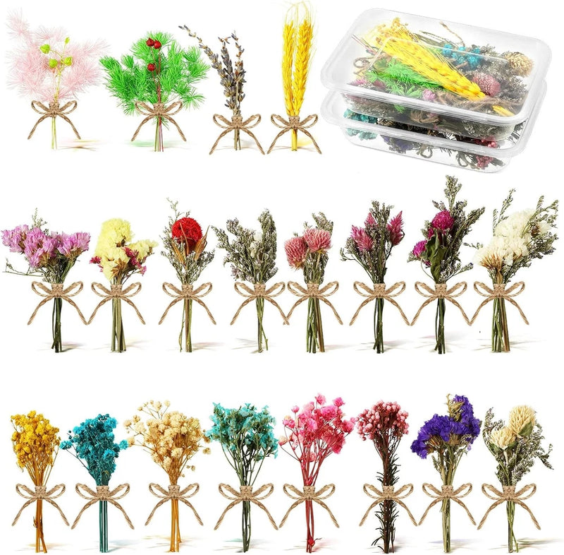 Chengu mini dried flower bouquets set of 20, assorted colors tied with twine