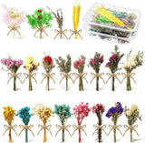 Chengu 20 Pcs Mini Dried Flowers Bouquets Natural As Pictures Shown Dried Flower