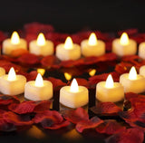 2000pcs Artificial Rose Petals with 24 LED Tea Lights Roses