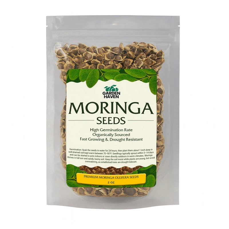 Moringa Oleifera Seeds for planting, Edible Excellent Germination Grade PKM1 Garden Plants