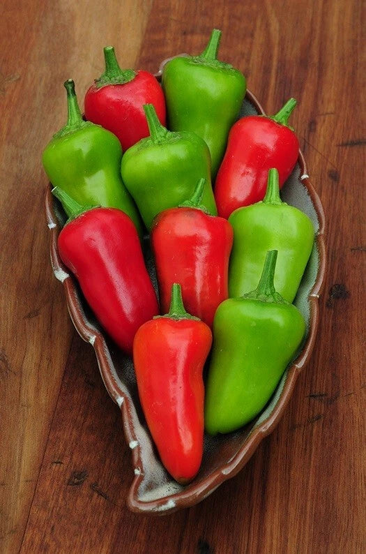 $2.39 Garden Plants